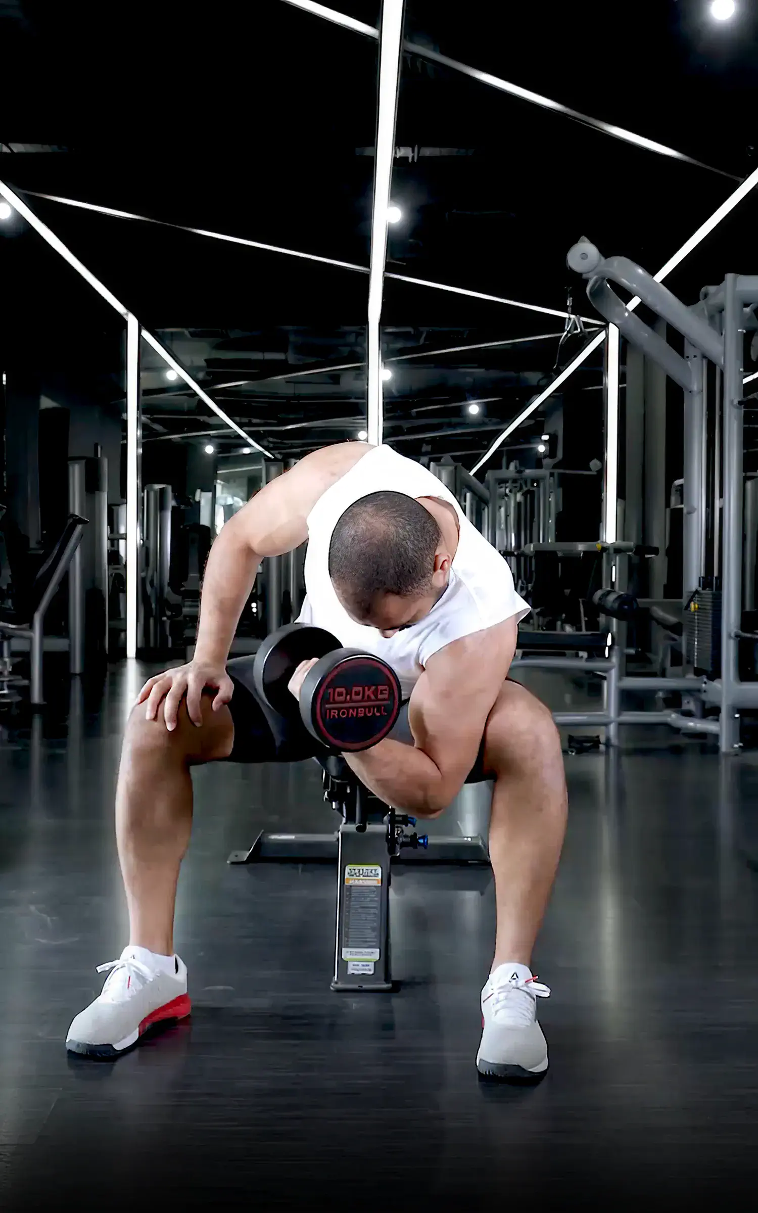 Dumbbell Concentration Curls